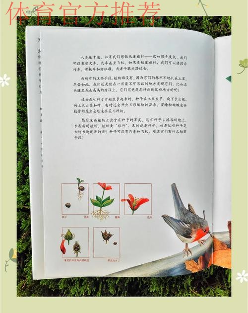 从北大到彭州，以足球之名撒下希望的种子